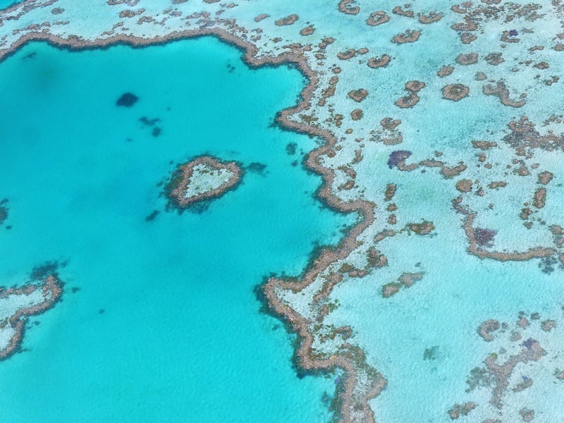 Great Barrier Reef in Australia
